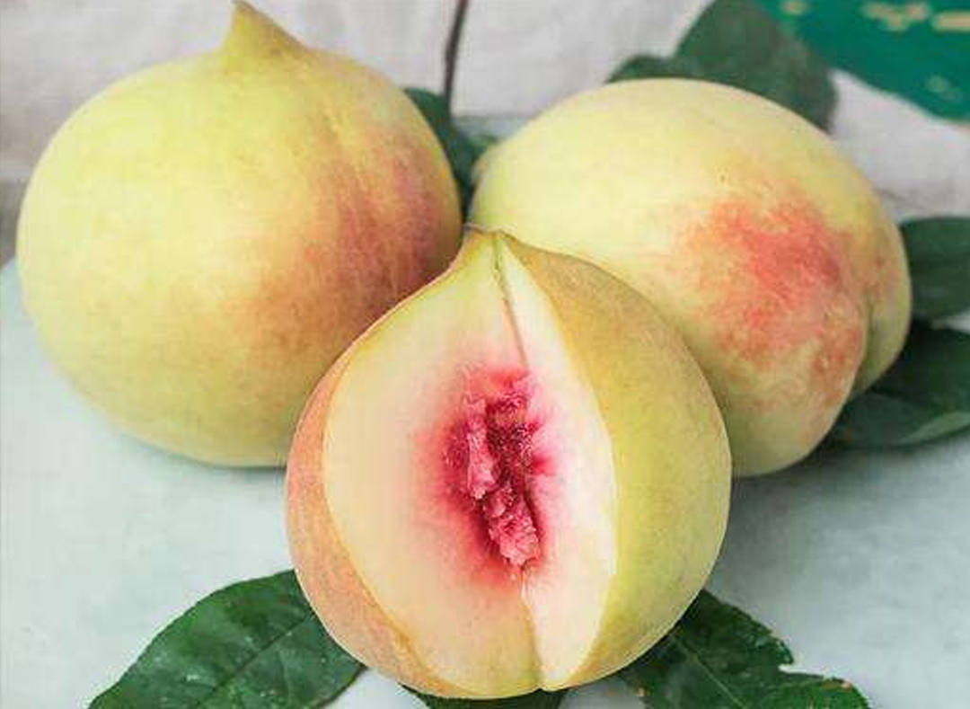 品质特点鹰嘴蜜桃,果实大圆形,尾部长相像"鹰嘴",果个较大,单果重100