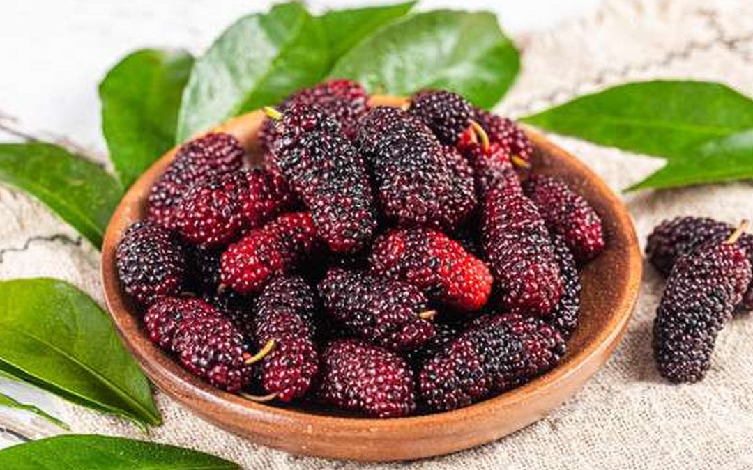 红花峪桑葚(图2)